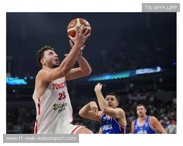 欧洲杯半决赛将至，字母哥PK申京大战一触即发，字母哥欧洲联赛