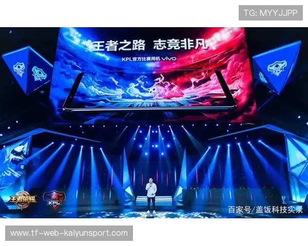 电竞战队数据分析辅助战术决策